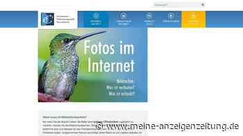 Ohne Bildrechte kann Veröffentlichung im Netz teuer werden