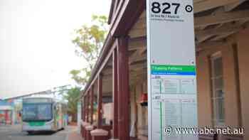 Businesses call for action on crime after stabbing at a country bus station