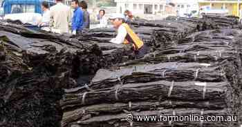 Australian start-up's bid to replace plastic with seaweed
