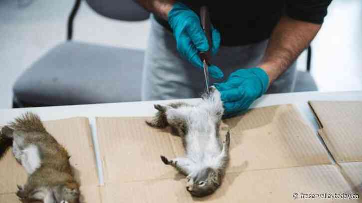 ‘Helped me rejuvenate my soul:’ Inmates in Yellowknife learn trapping, outdoor skills