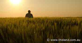 Embrace sense of purpose to find joy in life