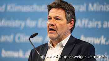 Habeck startet Reform des Stromsystems