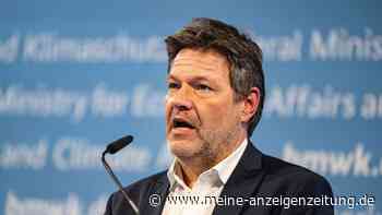 Habeck startet Reform des Stromsystems