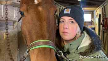 Retired police officer breaks silence over RNC dismantling horse therapy program