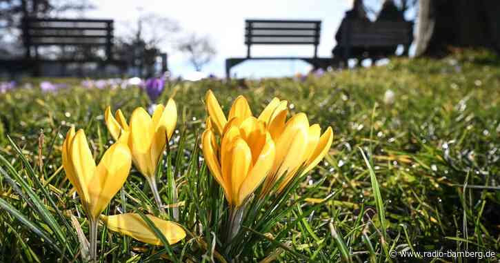 Ungewöhnlich milde Temperaturen im Süden