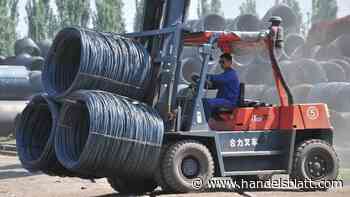 Ukraine-Krieg: Stabilitätswächter: Schwachstellen bei den Rohstoffmärkten