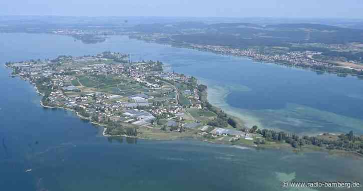 Forschungstaucher entdecken Pfahlreihe vor Insel Reichenau