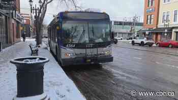 Edmontonians weigh in on Old Strathcona's future as city explores changes to Whyte Avenue