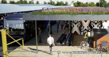 Bee-friendly bus shelters coming to 19 locations in Hull for nature initiative