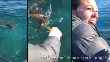 Angler wird von seinem „Abendessen“ attackiert – am Ende sieht er aus „wie ein Monster“
