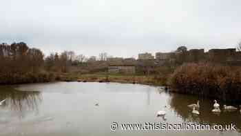 Beddington Community Benefit Fund gives almost £500k to local projects