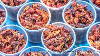 Insekten im Essen: Diese Lebensmittel enthalten Krabbler