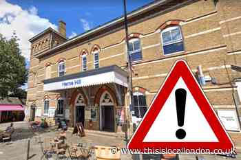 Person hit by train at Herne Hill station dies
