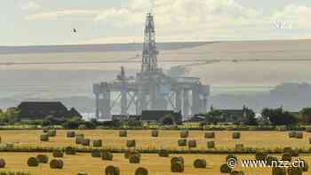 Sulzer ist auf der Suche nach sich selbst