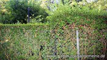 Einbrüche in Gartenanlage: Handelt es sich um einen Serientäter?