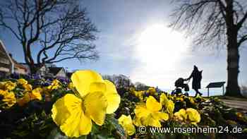 Wetter-Experten mit Prognose: Wird es im März wieder frühlingshaft warm?