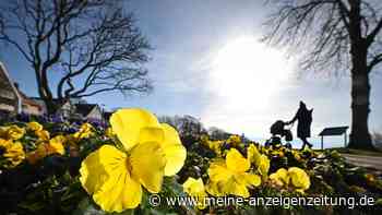 Wetter-Experten mit Prognose: Wird es im März wieder frühlingshaft warm?