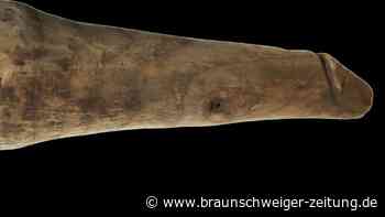 Dildo aus der Römerzeit? Fund überrascht Wissenschaftler