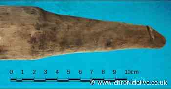 Discarded darning tool found in fort on Hadrian's Wall is actually 'Roman sex toy'