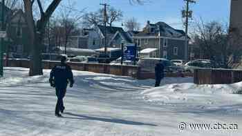 Winnipeg police still searching for 2 armed and dangerous men linked to bear spray assaults