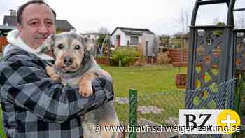 Der älteste Kleingarten Salzgitters ist in Not