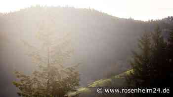 Winter-Rückkehr möglich oder Frühling fix? So wird das Wetter