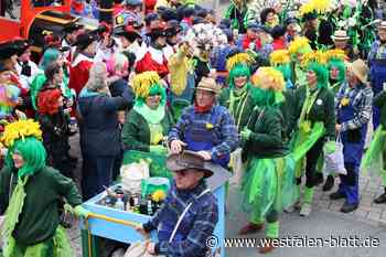 Rosenmontag in Steinheim: Umzug mit Adrenalin