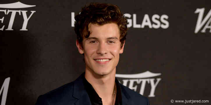 Shawn Mendes Reveals Why He Shaved His Head, Talks Cancelling His Tour, New Music & More in 'WSJ. Magazine' Interview