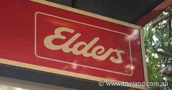 Elders remarkably resilient despite adversity