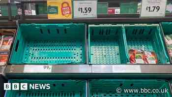 UK supermarkets face tomato shortages