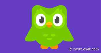 How Duolingo Brought the Worst Out in Me     - CNET