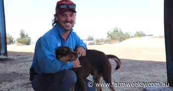 Spectacular season drives 700pc expansion plans