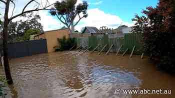 Insurers questioning Victorian flood pay-outs angers residents, MP