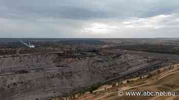 ASX in the red, Coles profit soars, while BHP profit falls as it puts more coal mines up for sale — as it a happened