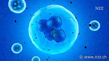 Zum dritten Mal weltweit ist es gelungen, einen HIV-Patienten mit einer Stammzellentransplantation zu heilen