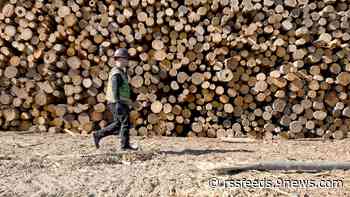 Colorado ponders storing carbon in defunct oil and gas wells