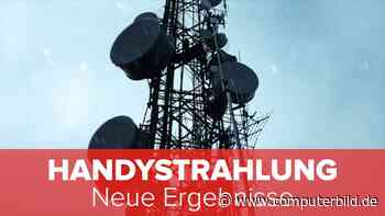 Handystrahlung: Neue Ergebnisse