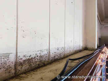 Big Island school in ‘crisis’ with mold, rats, says teachers union