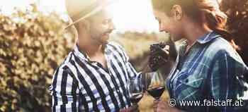 Falstaff sucht die beliebtesten Nachwuchs-Winzer:innen 2023