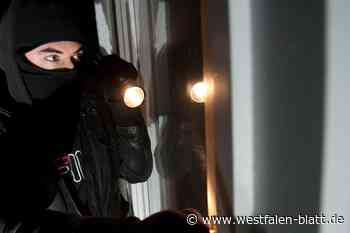 Drei Kellereinbrüche in Bad Lippspringer Mehrfamilienhaus