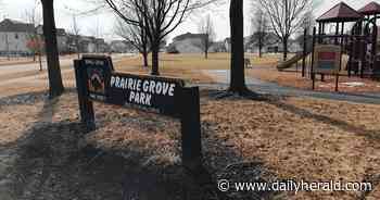 Buffalo Grove's Prairie Grove Park in line for makeover