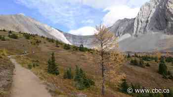 Kananaskis visitor demands prompt moves toward public transit, better planning