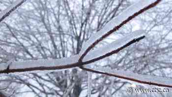 Hamilton, Niagara and surrounding areas could see an ice storm Wednesday evening
