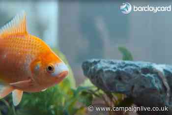 Barclaycard Payments shows it helps not just business owners, but their plants and fish too