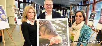 »The Artificial Krapfen Challenge«: Digitale Krapfenkunst