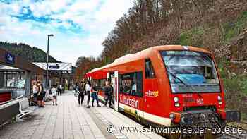 Fasnet in Calw: Die größte Narretei kommt von der Bahn