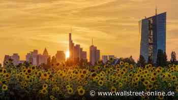 Berenberg-Experte im Gespräch: Schmieding: Darauf freuen sich die Aktienmärkte jetzt schon!