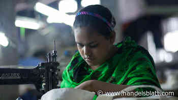 Vermögensverwaltung: Populär, aber nicht groß genug: Der Boom beim Impact Investing birgt Gefahren