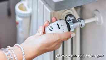 EU-Staaten drosseln Gasverbrauch um rund 19 Prozent