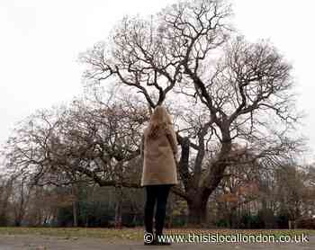 Gillwell Oak in Epping Forest linked to Baden-Powell and Dick Turpin